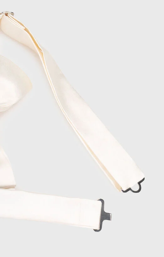 Копринена папийонка — снимка 2