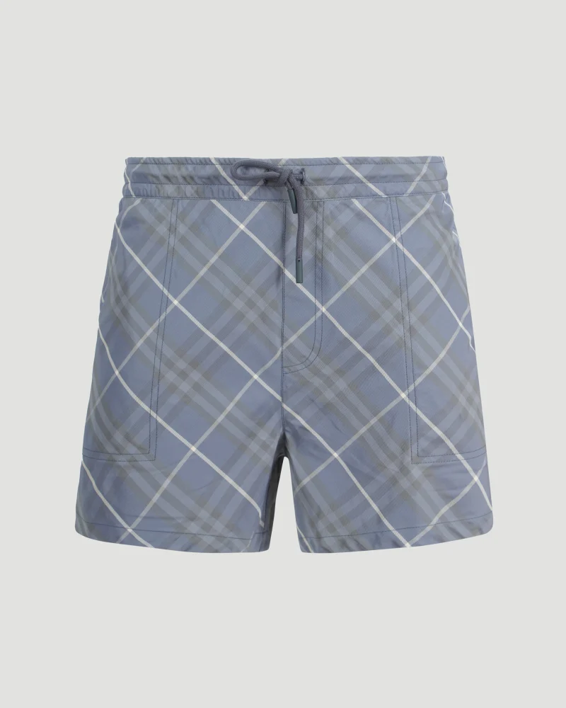 Swim Shorts in Pewter