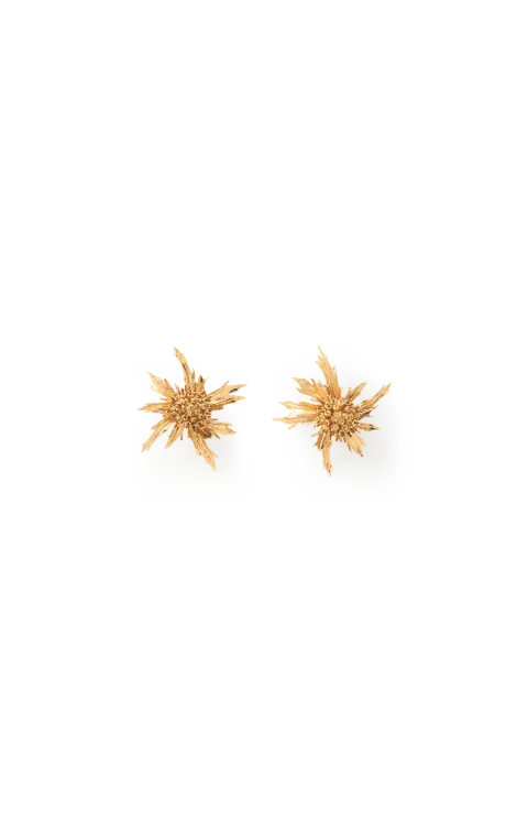 Chardon Gold-Tone Clip Earrings