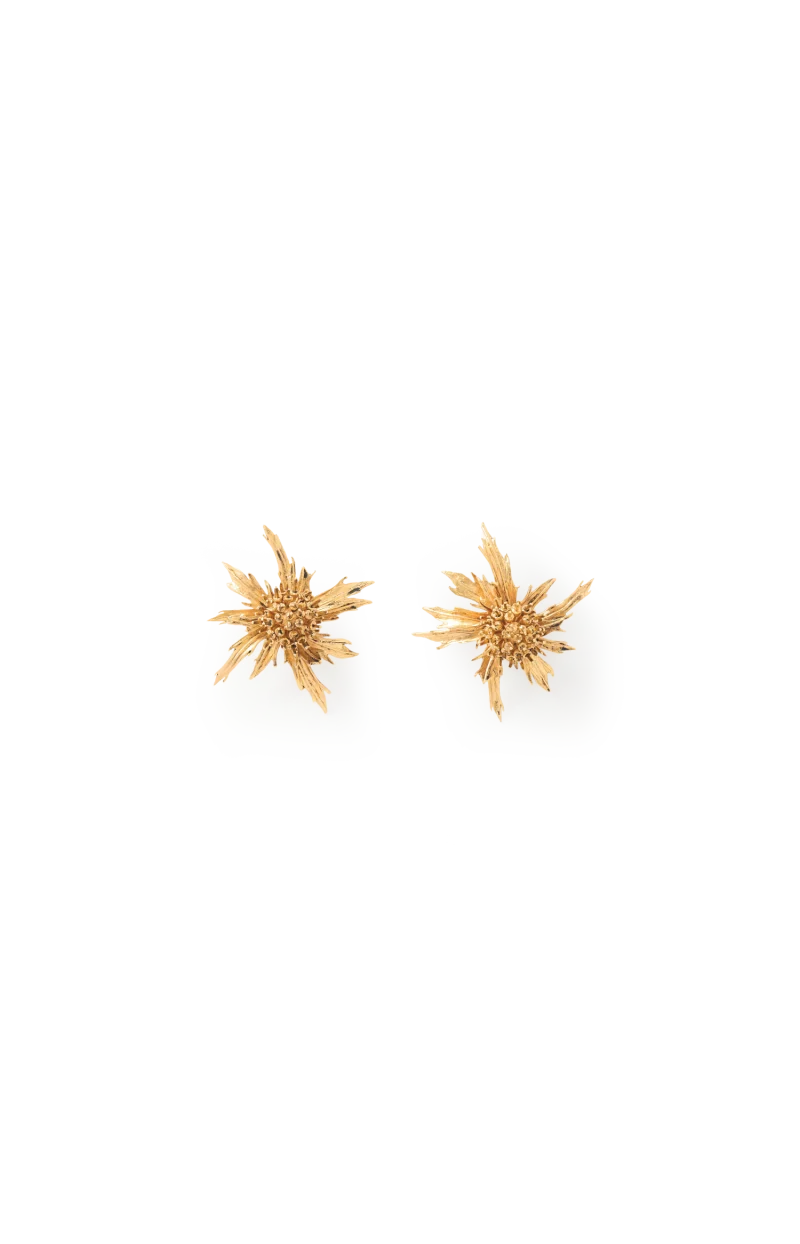 Chardon Gold-Tone Clip Earrings