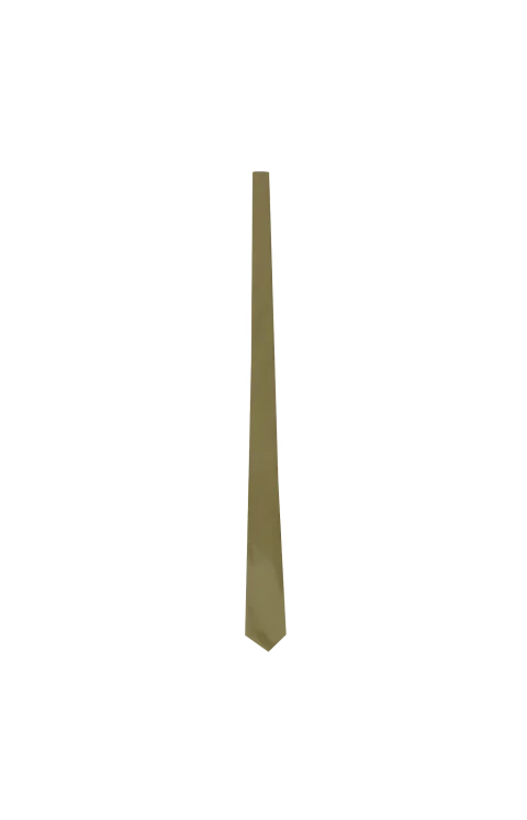 Tie in Sand Silk Satin