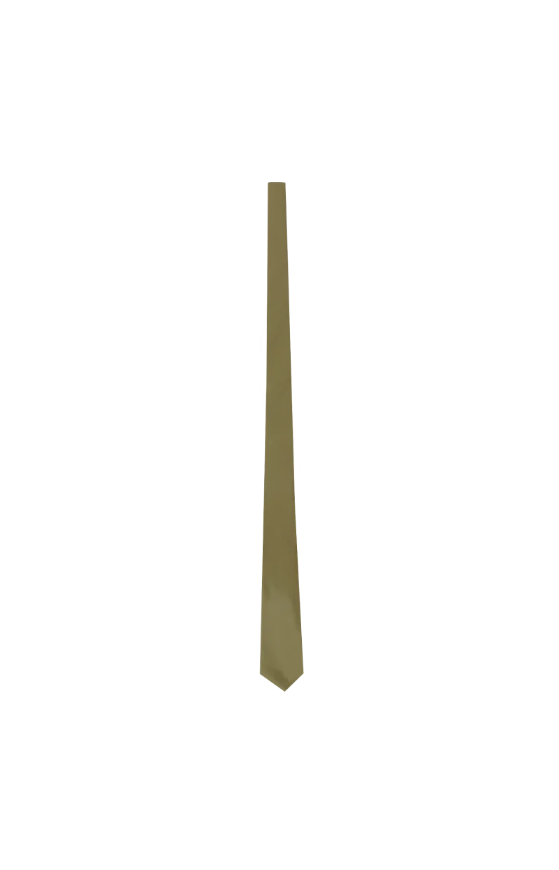 Tie in Sand Silk Satin