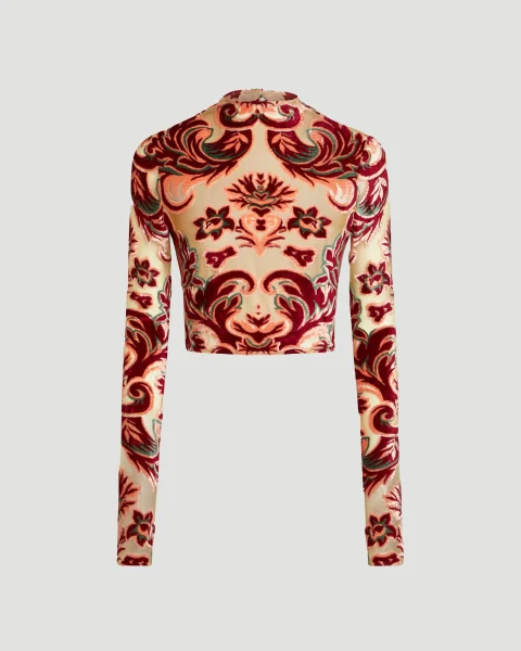 Tulle and Jacquard Velvet Top