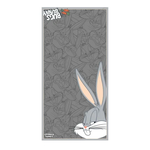 Дамски сив шал Looney Tunes Braccialini