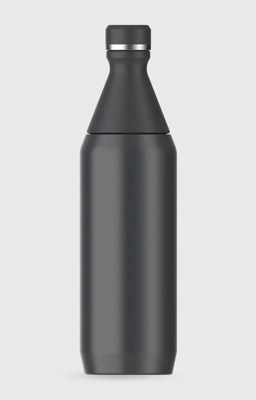 Термос THE ALL DAY SLIM BOTTLE | 0.6L