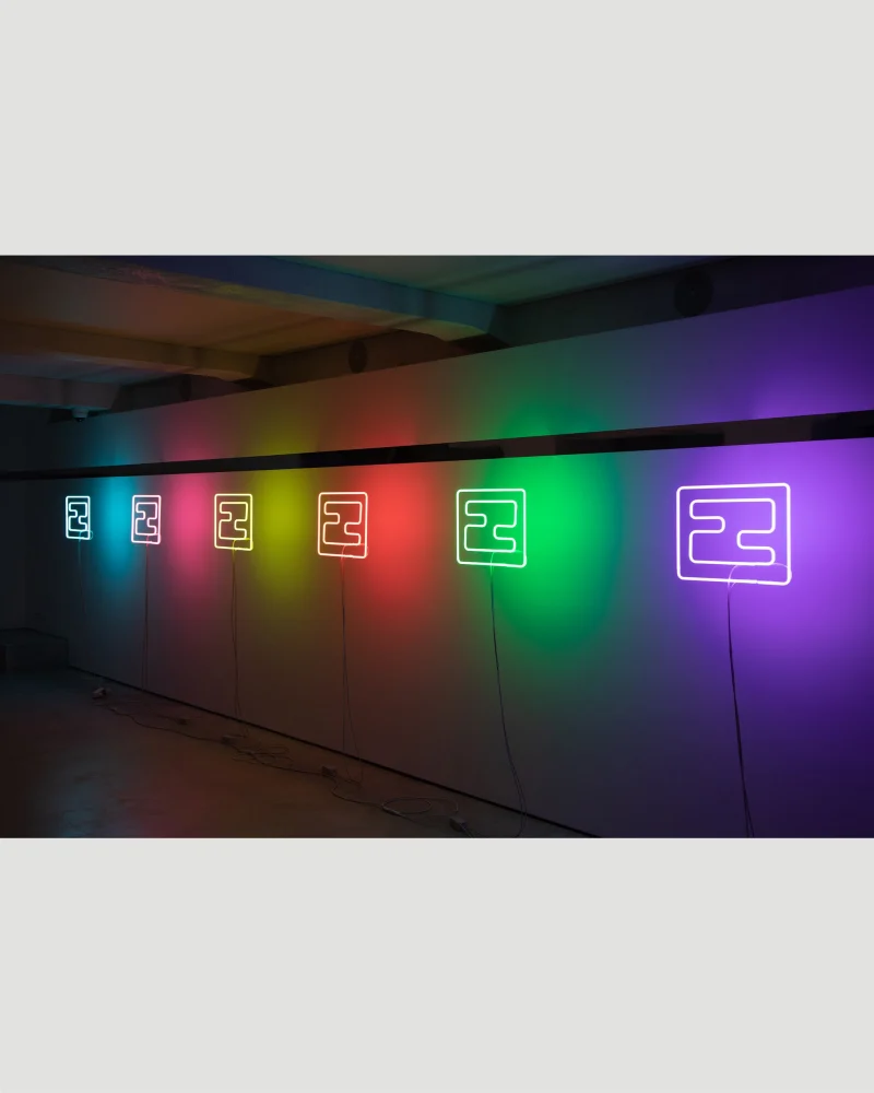 The Fun Buckle - Vidra Collective Neon 6 Pcs