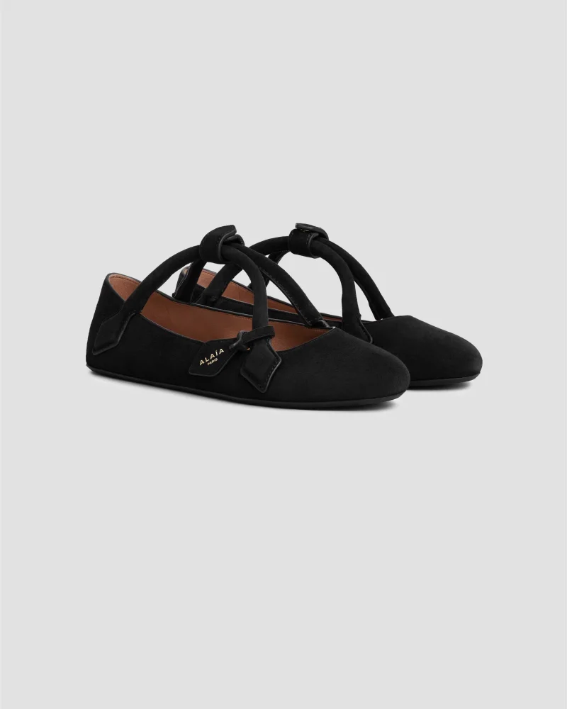 Le Teckel Ballet Flats in Suede Goatskin — снимка 2