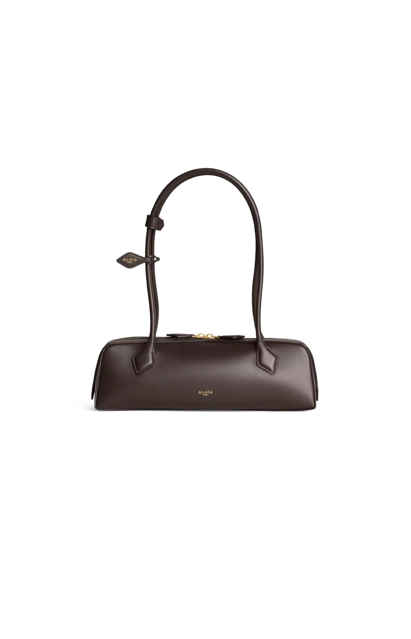 Le Teckel Medium Bag in Dark Brown Calfskin