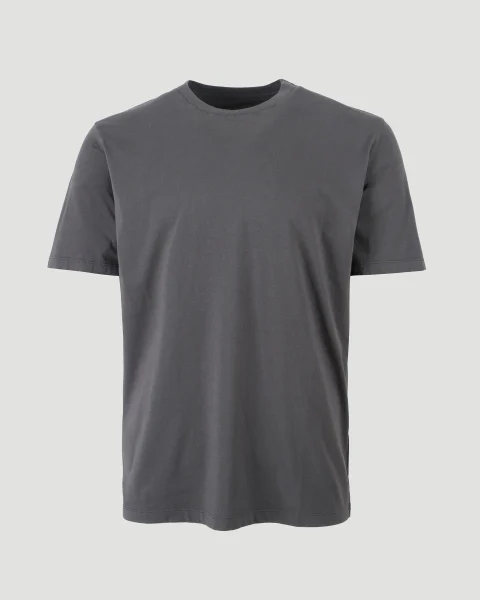 Cotton T-Shirt in Grey