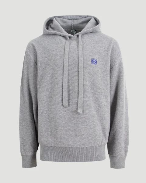 Hoodie in Wool