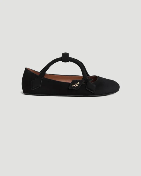 Le Teckel Ballet Flats in Suede Goatskin