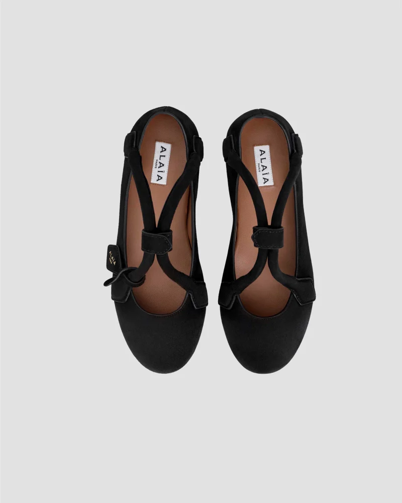 Le Teckel Ballet Flats in Suede Goatskin — снимка 3