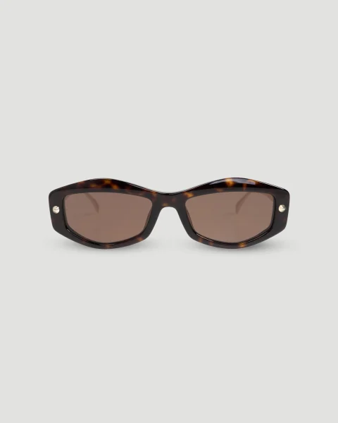 Havana Gold Brown Sunglasses