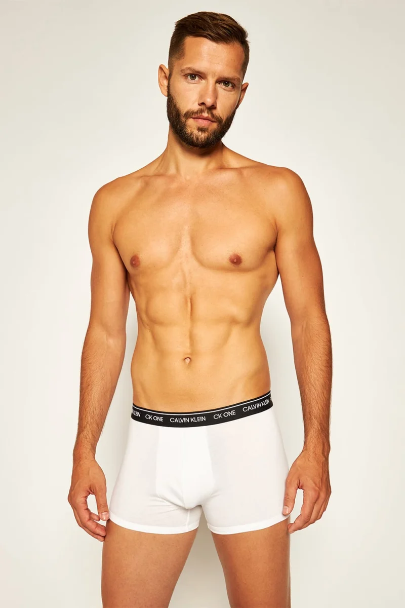 Underwear (Set 2-Pieces) Calvin Klein 000NB2385A — снимка 2
