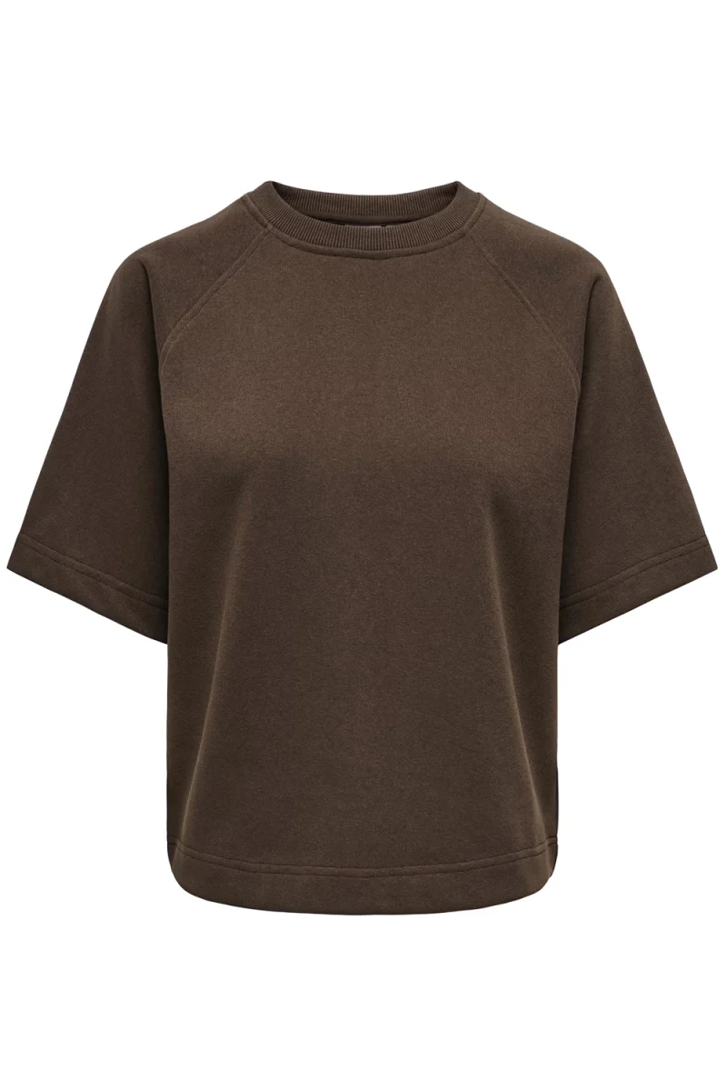 T-Shirt Onlofelia Ss Raglan Ub 15377588 19-1015 TCX bracken