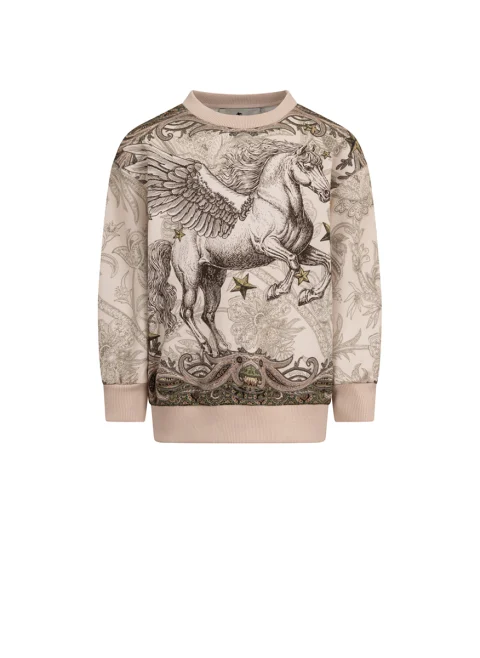 Суитшърт с принт 'Pegasus' Etro Kids