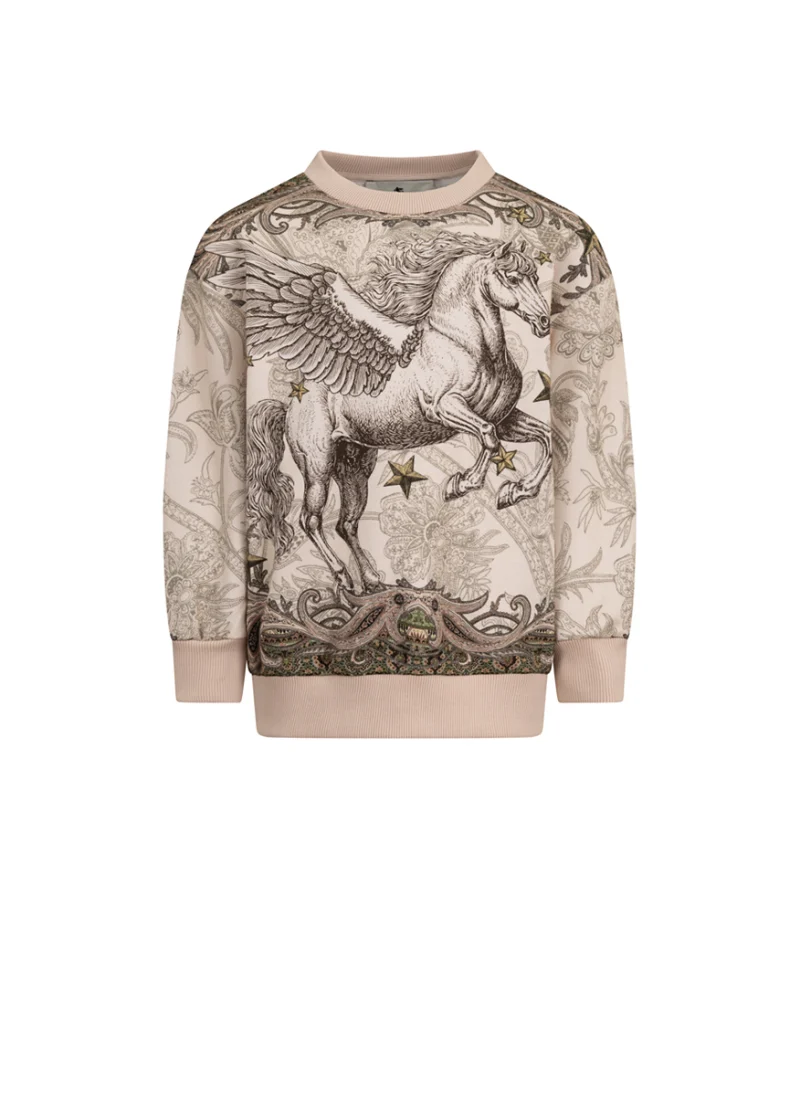 Суитшърт с принт 'Pegasus' Etro Kids