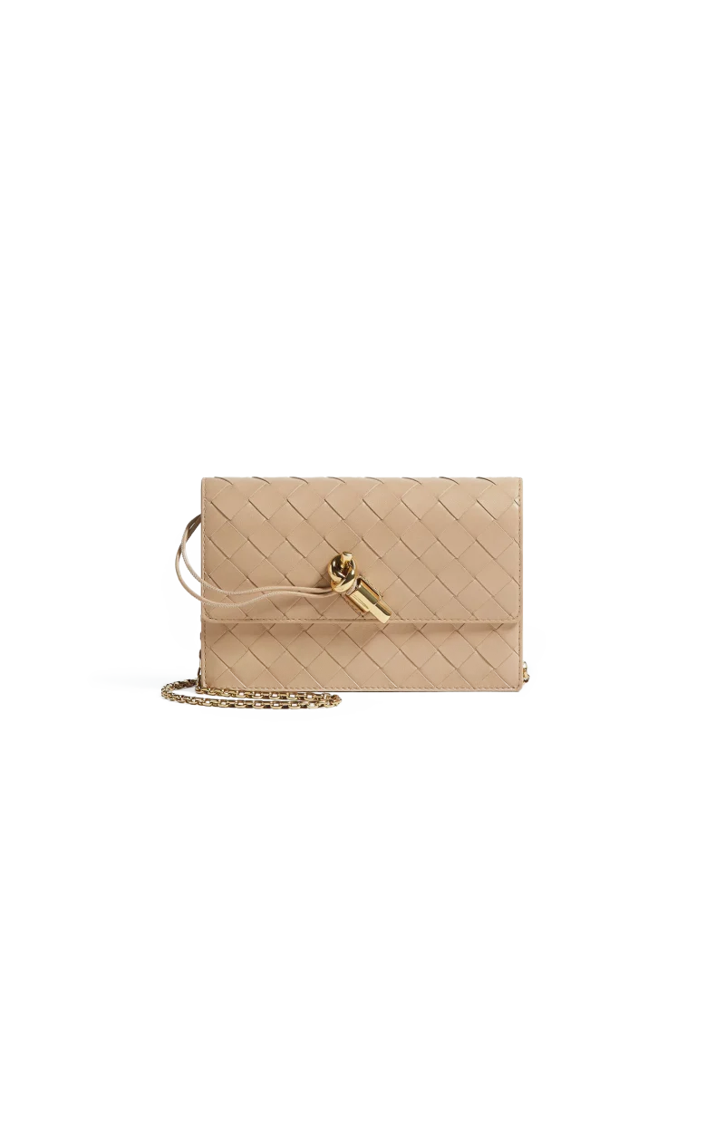 Andiamo Pouch on Chain in Shore