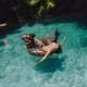 Пояс SHARK SPRAYGROUND — снимка 5