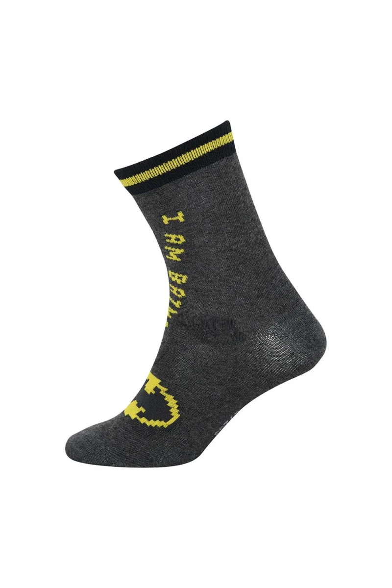 Socks Lego Socks ( 3 Pack Socks) 12010652 906 grey — снимка 2