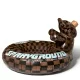 Пояс MONEY BEAR SPRAYGROUND — снимка 4