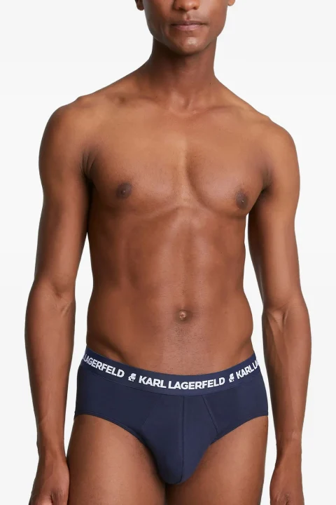 Бельо (Pack of 3) Logo Briefs A1M47152 937 black/white/navy — снимка 2