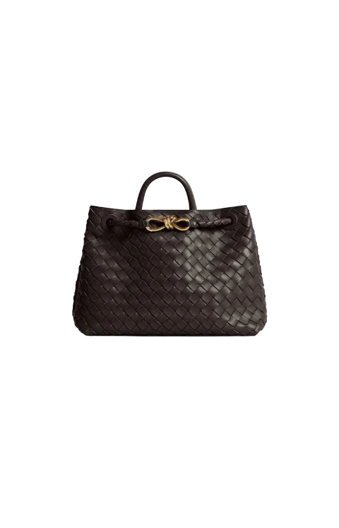 Medium Andiamo Bag in Fondant