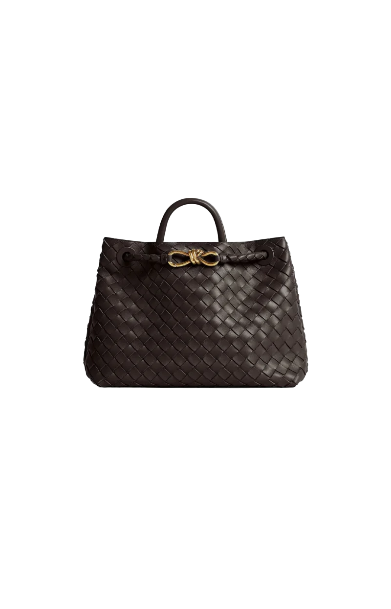 Medium Andiamo Bag in Fondant