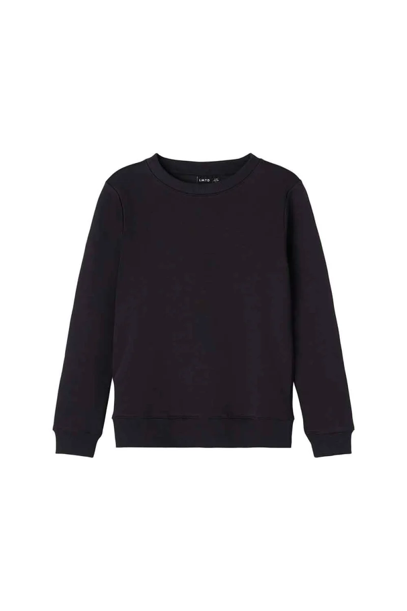Girl Sweatshirt Name It 13194705